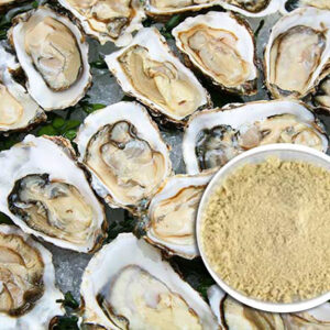 Oyster meat powder