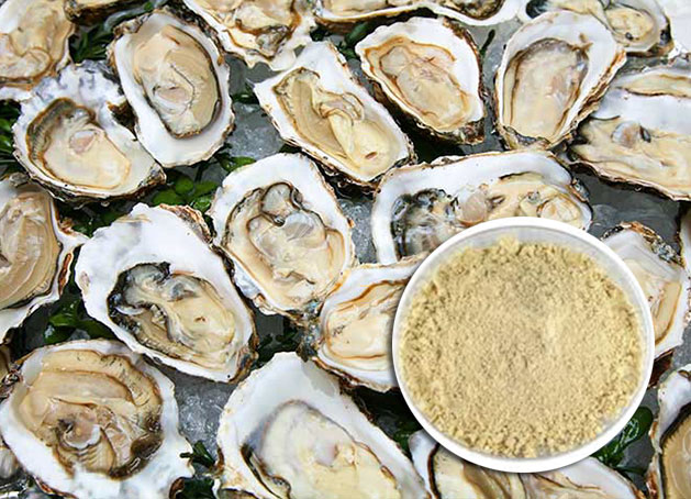 Oyster meat powder