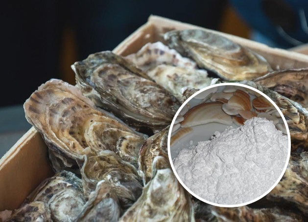 Oyster shell powder