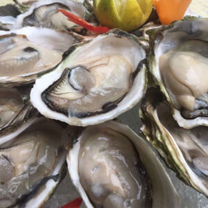 fresh oyster meat